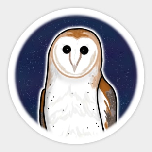 Starry Night Barn Owl (Small Print) Sticker